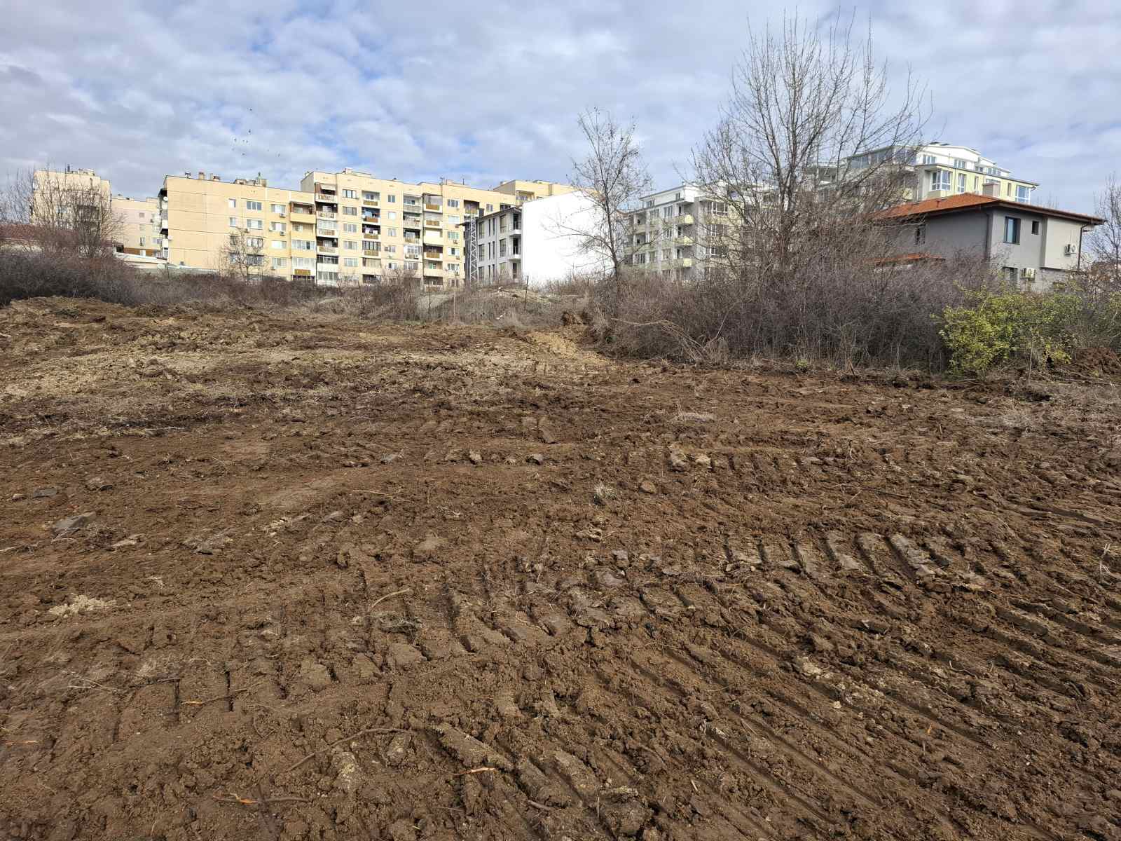 viber_изображение_2026-02-20_19-08-03-968